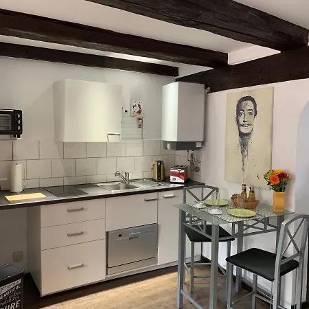 Ackerbuergerhaus Von 1604 Appartement