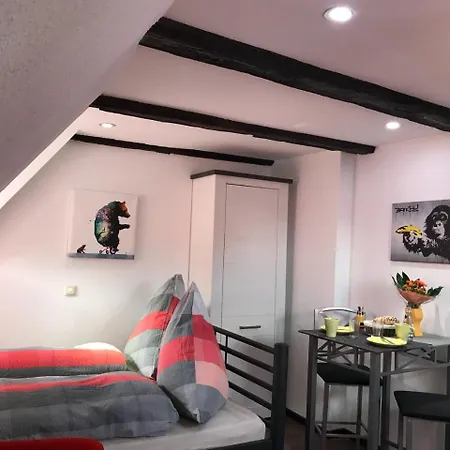 Ackerbuergerhaus Von 1604 Appartement