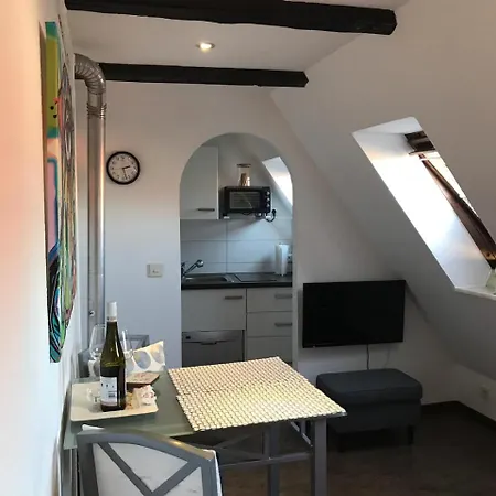 Ackerbuergerhaus Von 1604 *